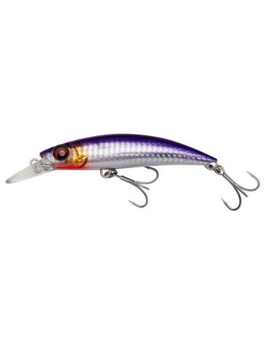 Savage Gear Gravity Runner 10cm 55gr Bloody Anchovy PHP